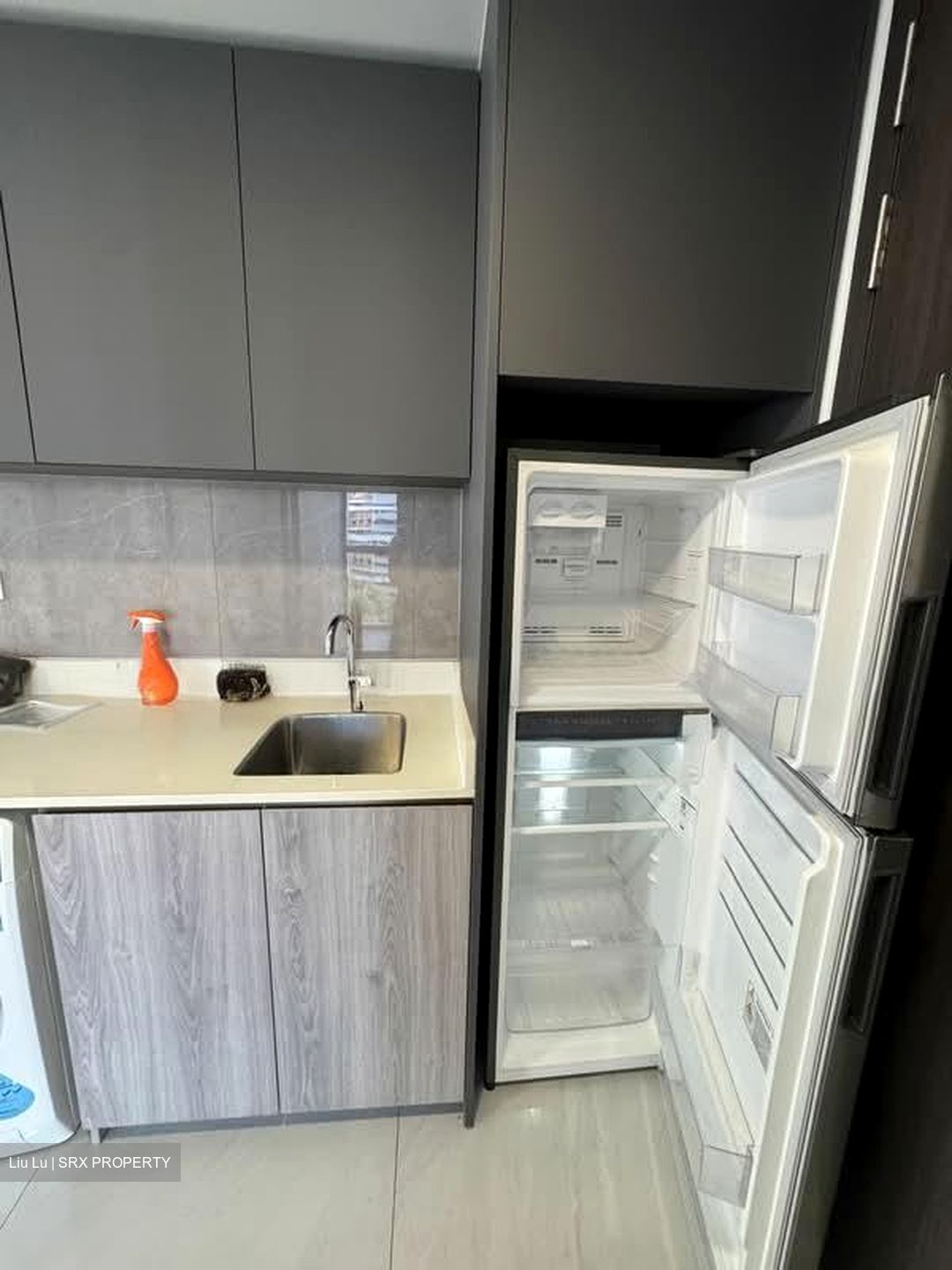 Riverfront Residences (D19), Apartment #537334951